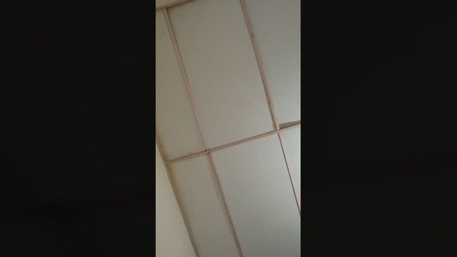 Luci_stream  17-03-2022